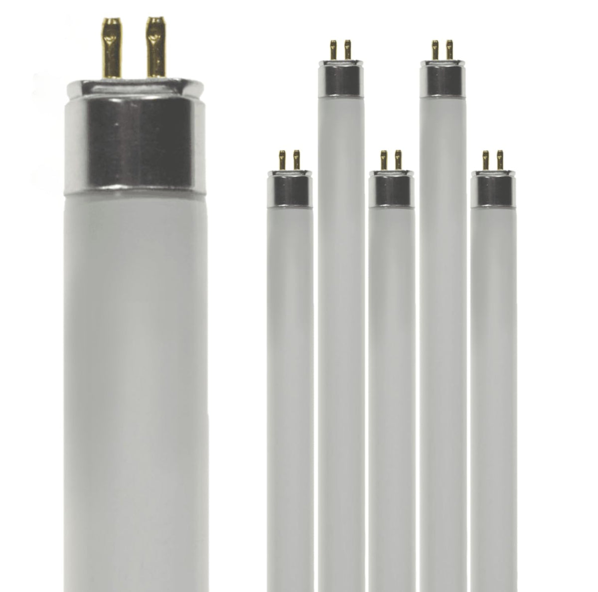 24 Inch 24W 4100K Cool White T5 Fluorescent Bulb Pack of 6 W6013