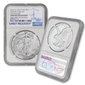1 oz American Silver Eagle Coin N187391