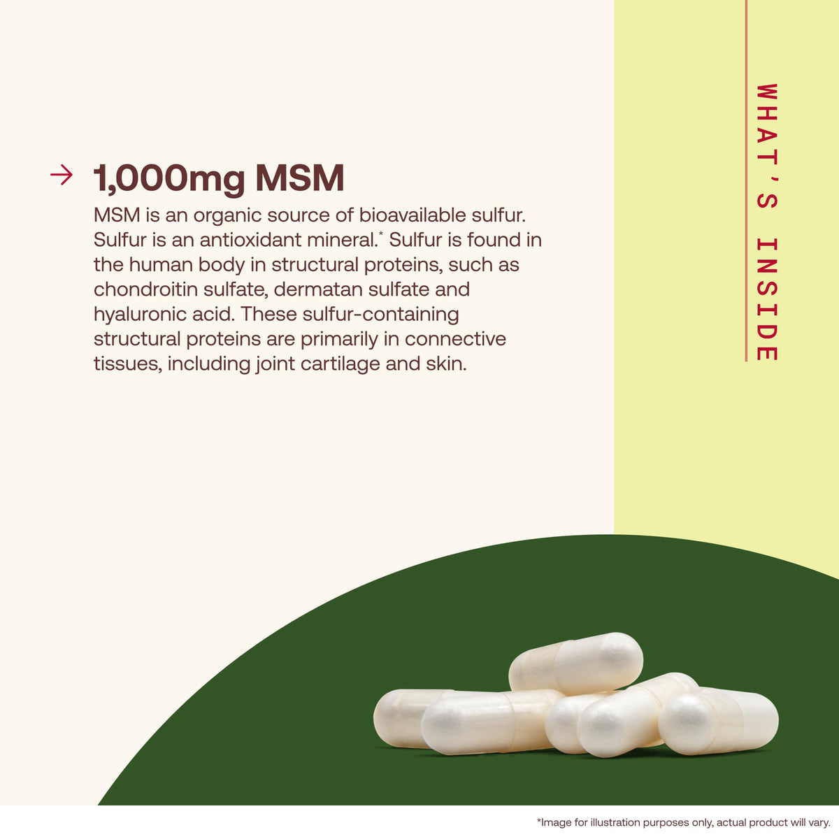 MSM Capsules 1,000 mg 200 Capsules P2852