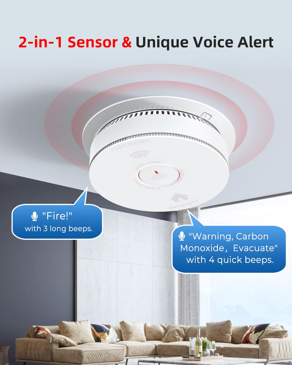 Smoke & CO Detector S68717