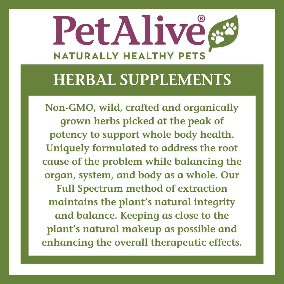 2 Fl Oz Herbal Nervous System Support for Pets Z1244
