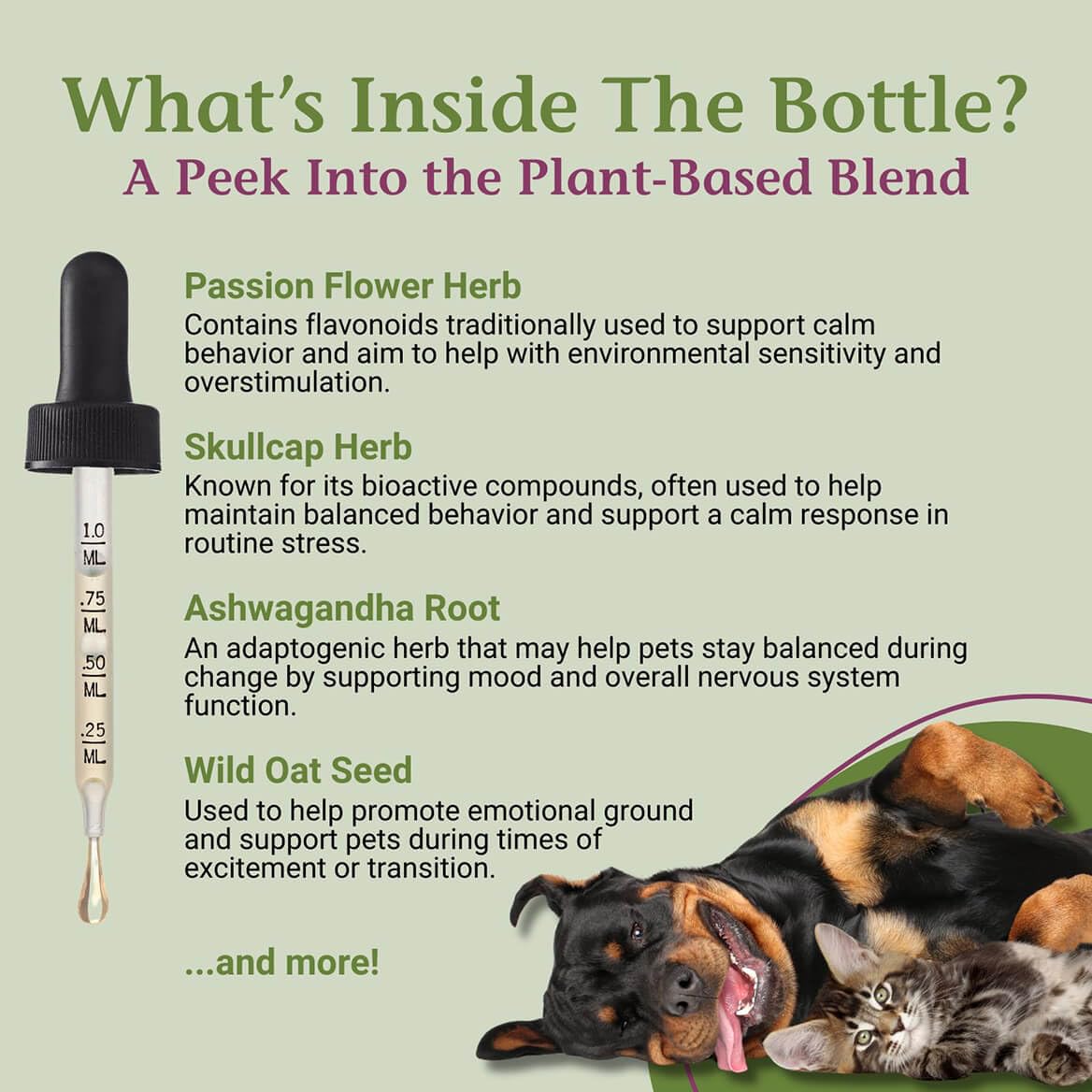 2 Fl Oz Herbal Nervous System Support for Pets Z1244