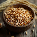 Wheat Berries White 10 LB Whole Grain B542