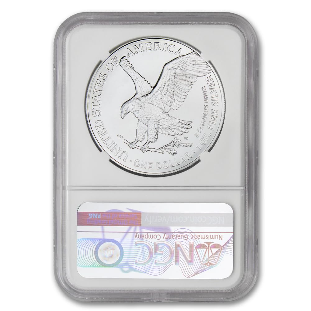 1 oz American Silver Eagle Coin N187391
