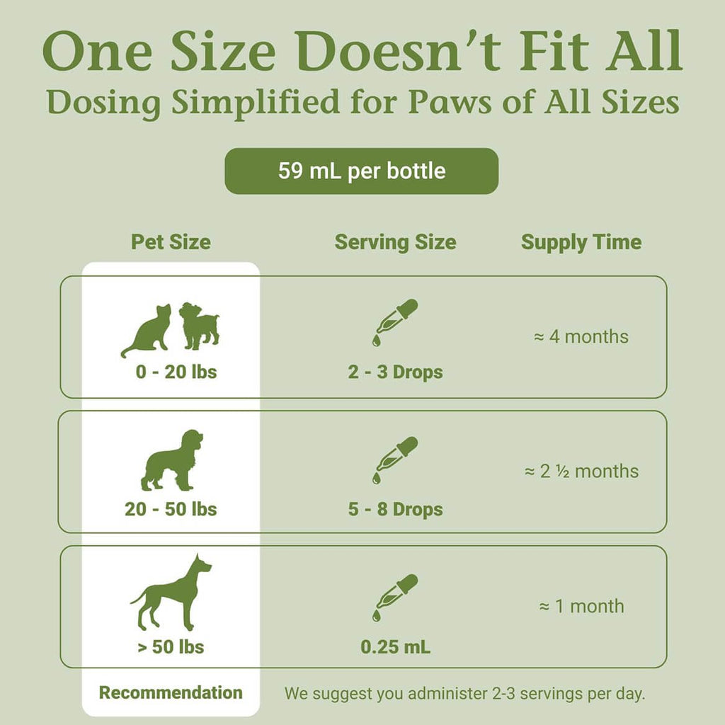 2 Fl Oz Herbal Nervous System Support for Pets Z1244
