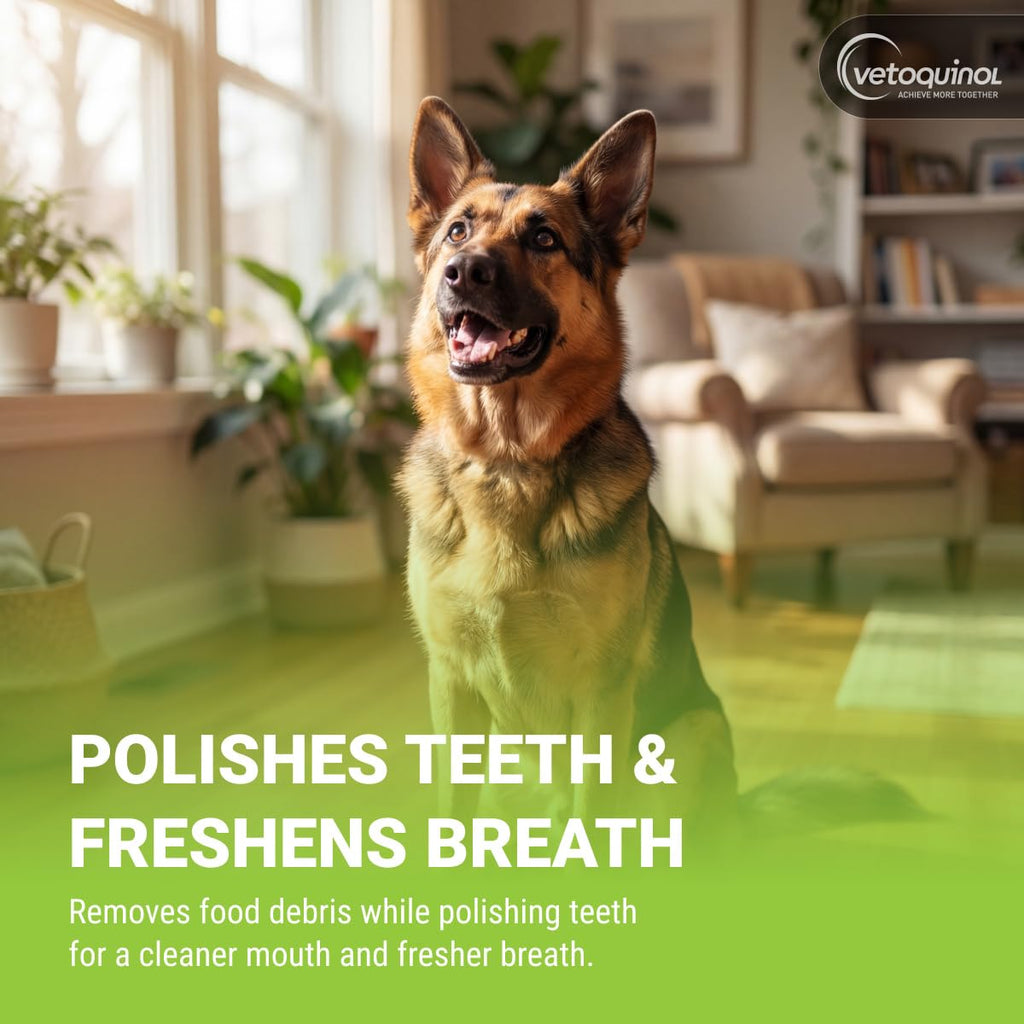 Enzymatic Toothpaste Kit + Fingerbrush, Poultry Flavor L578