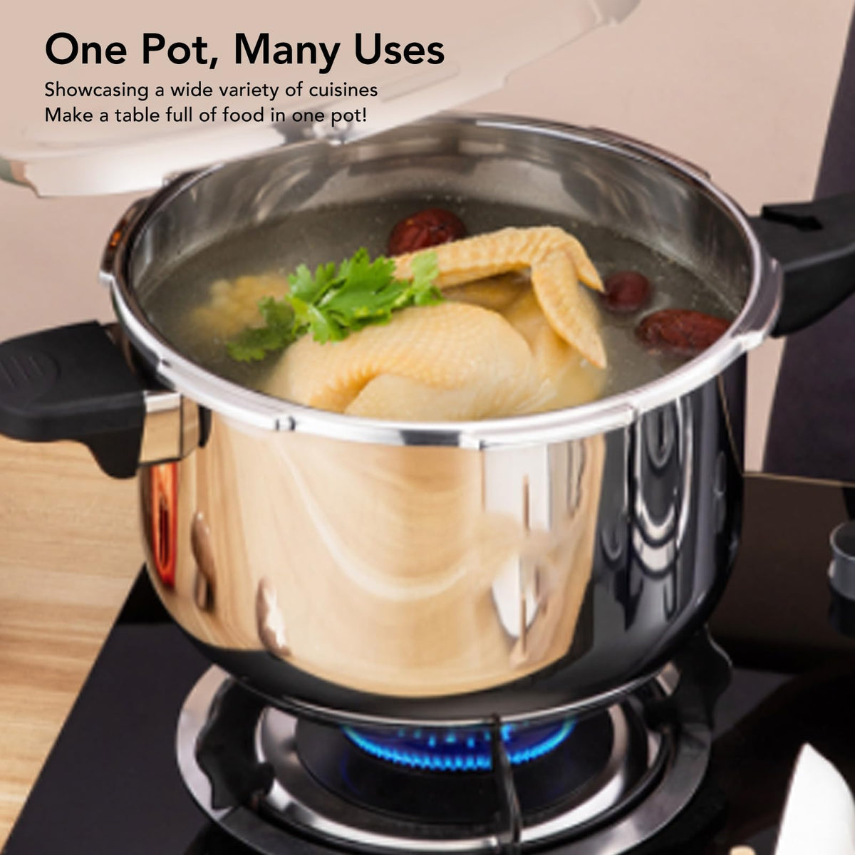 Stainless Steel 3L Pressure Cooker Z3013