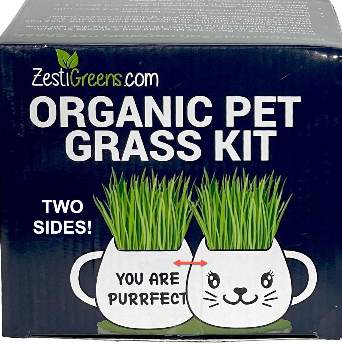 Cat Grass Growing Kit with Seeds, Soil & Ceramic Planter X414