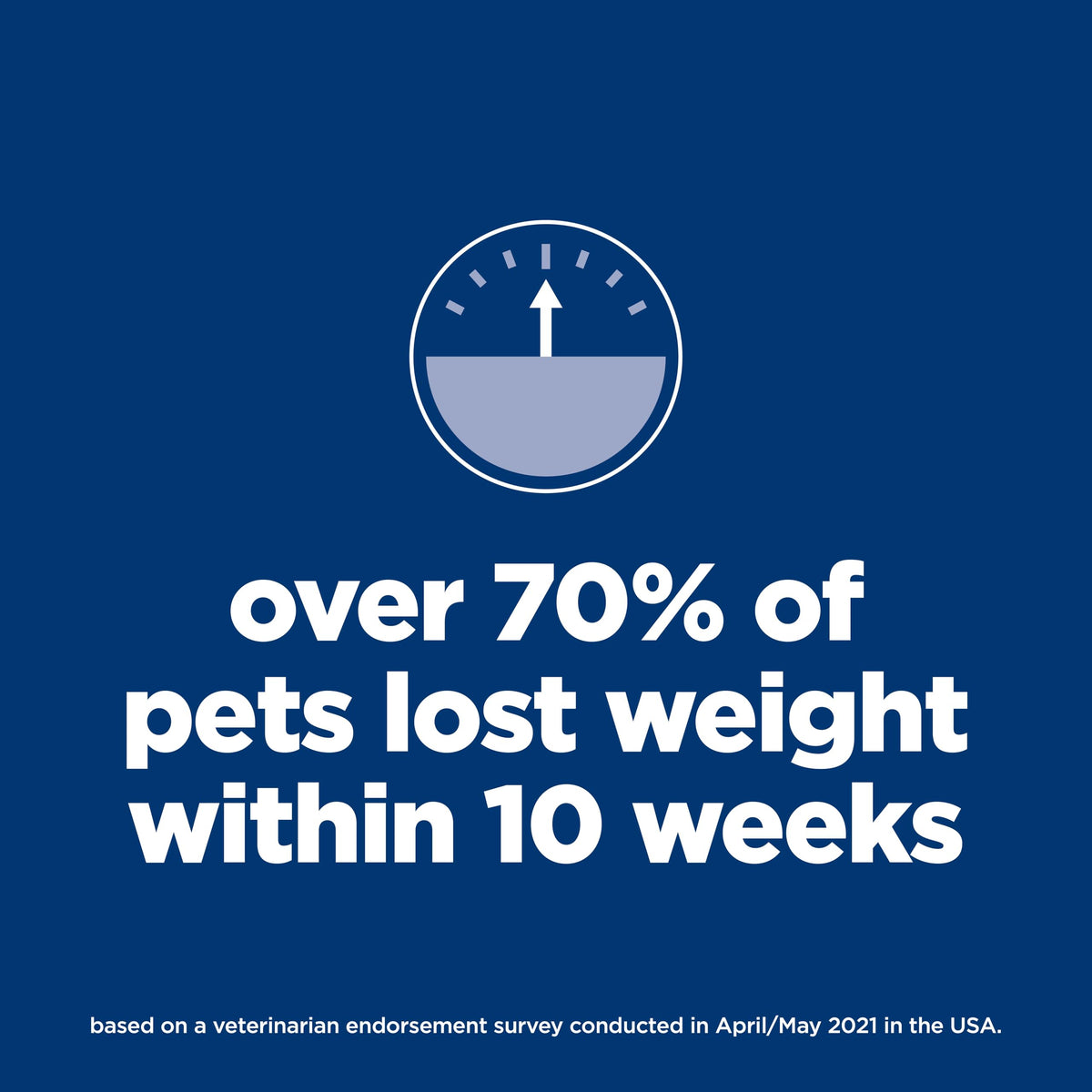 Dry Dog Food S68963