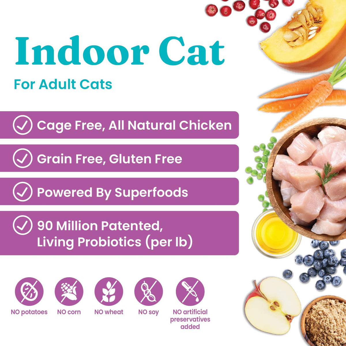 Solid Gold Dry Cat Food Chicken 6lb Wet Cat Food Variety Pack 12 Pack O668