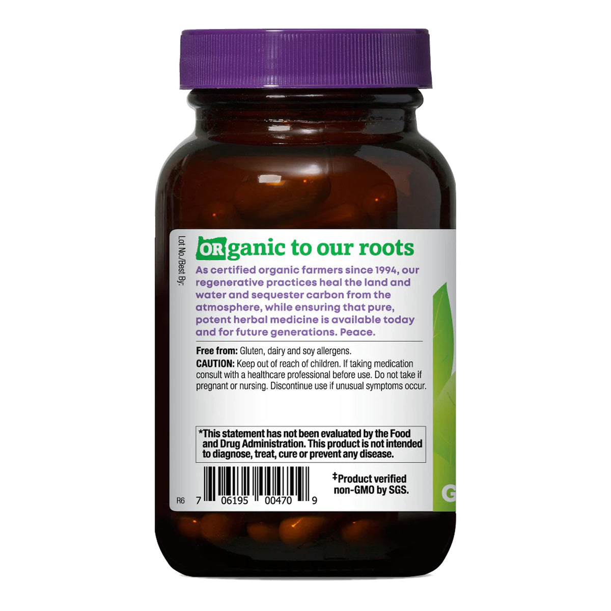 Organic Ashwagandha Ginkgo Vegan Capsules 90 Count B927