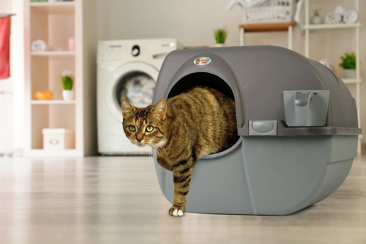 Large Brown Self Cleaning Litter Box S60630
