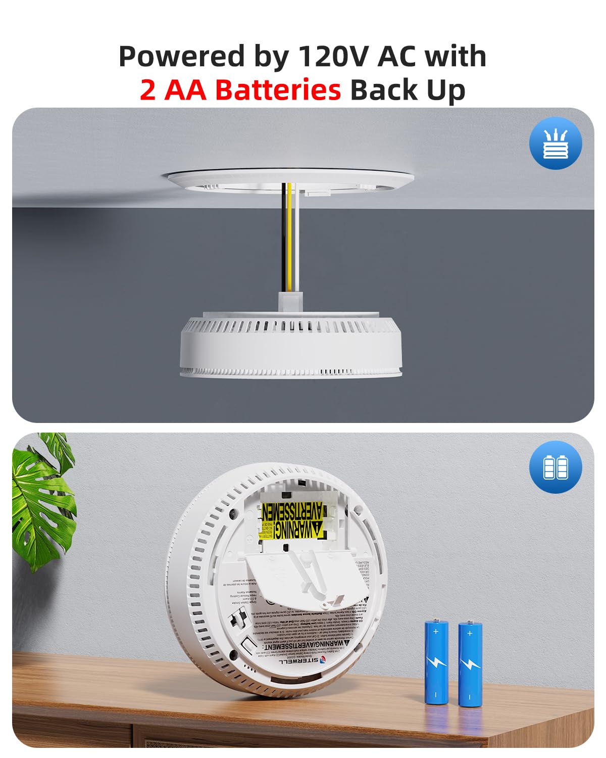 Smoke & CO Detector S68717