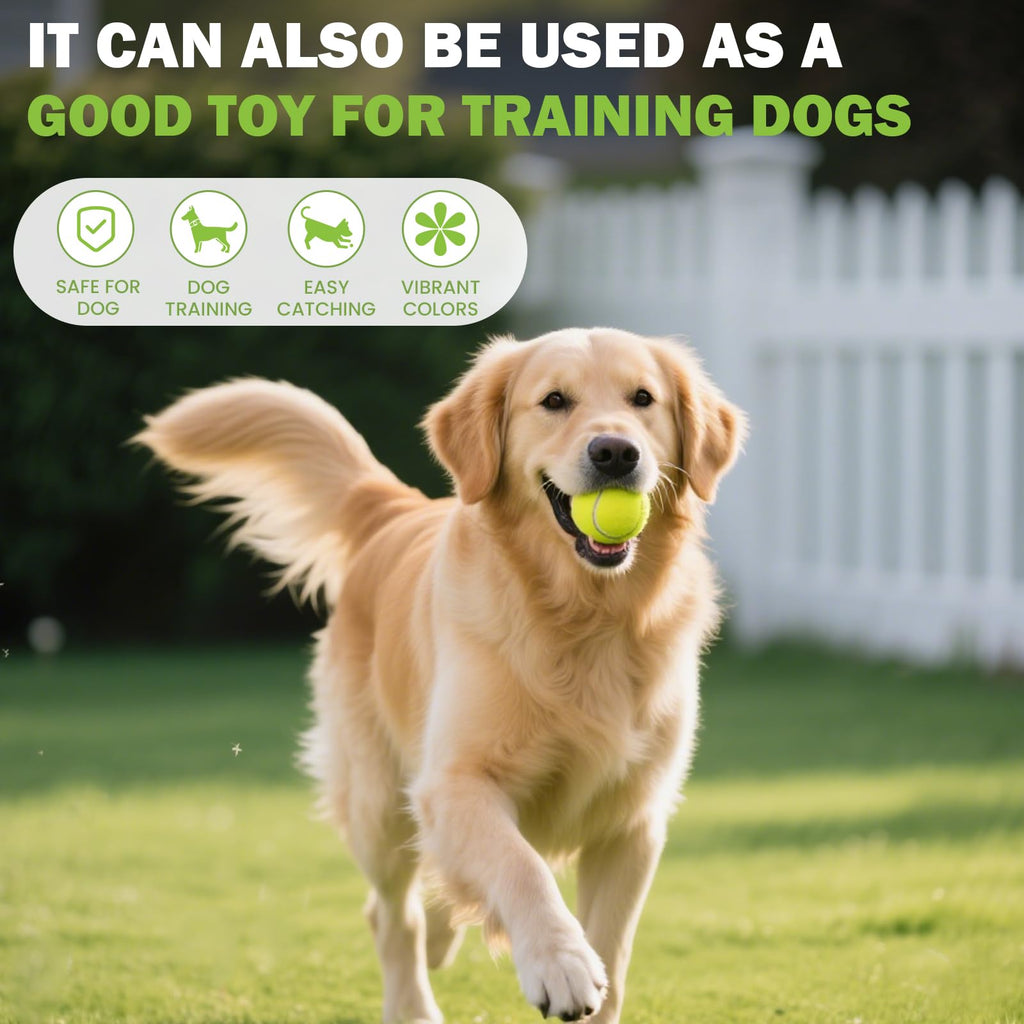 Tennis Ball 6/12/24/36/40/80 Pack Training Balls N68634
