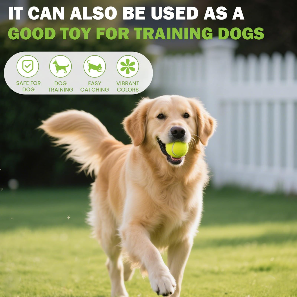 Tennis Ball 6/12/24/36/40/80 Pack Training Balls N68634