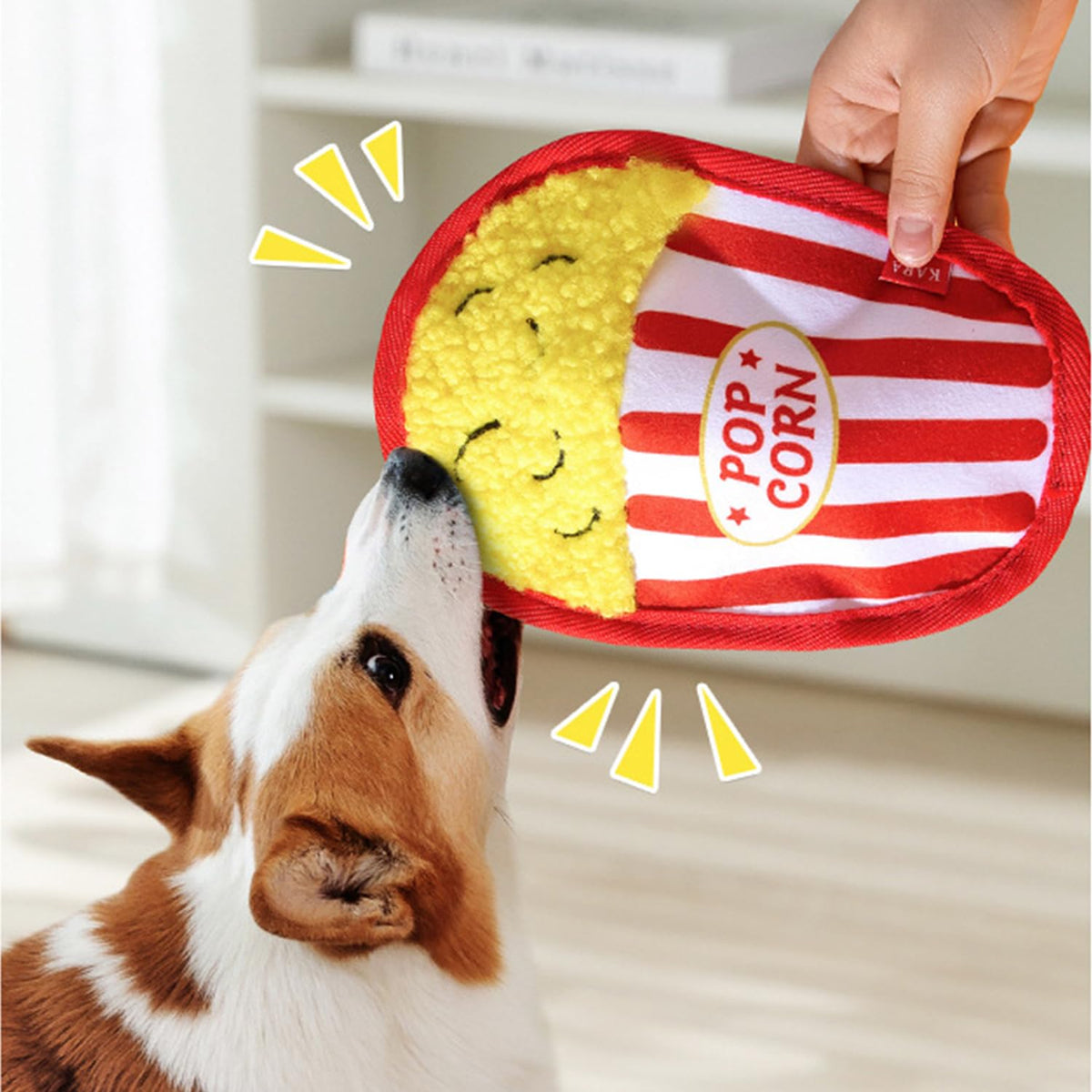 Plush Squeaky Crinkle Dog Toys T9132