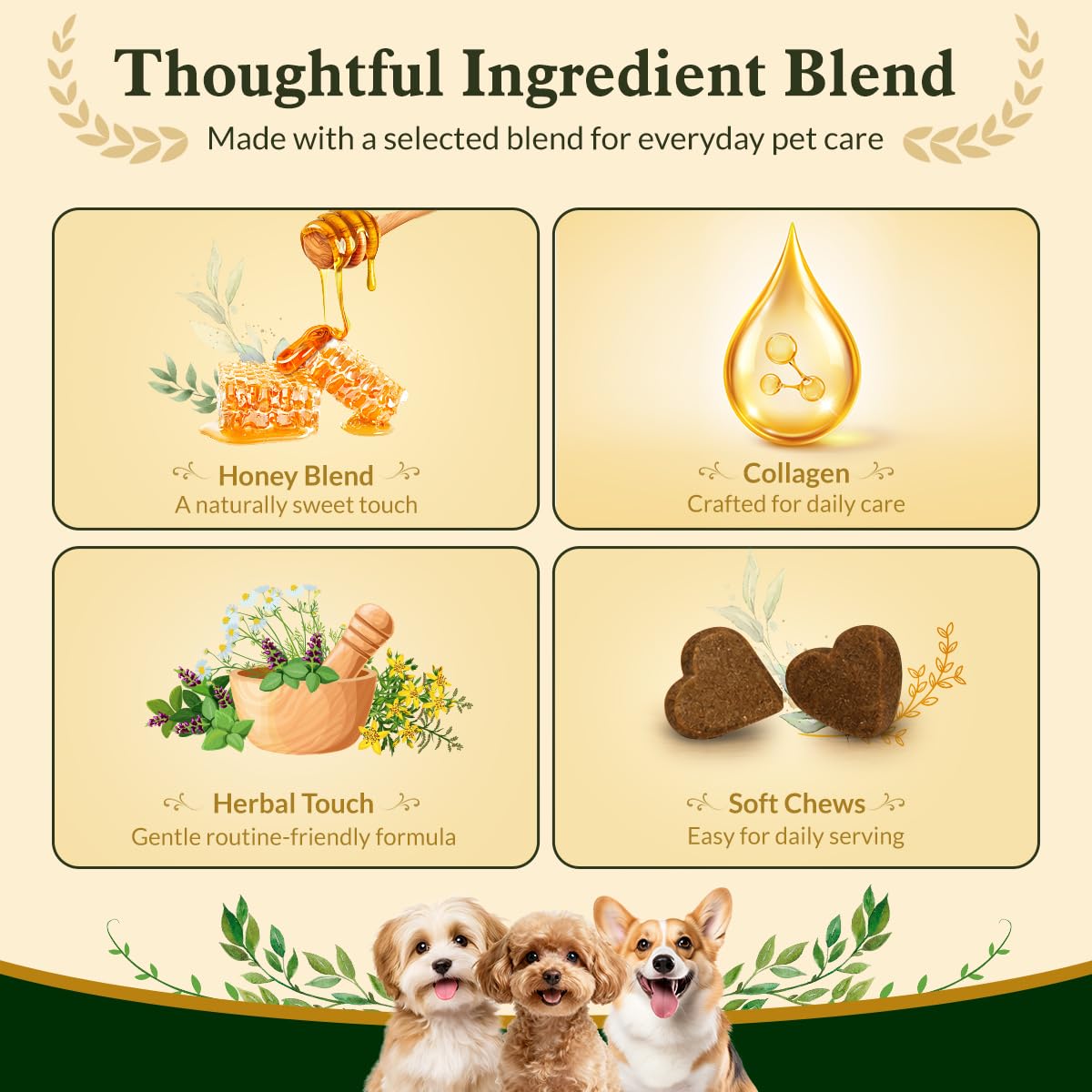 Soft Chews for Dogs V494117