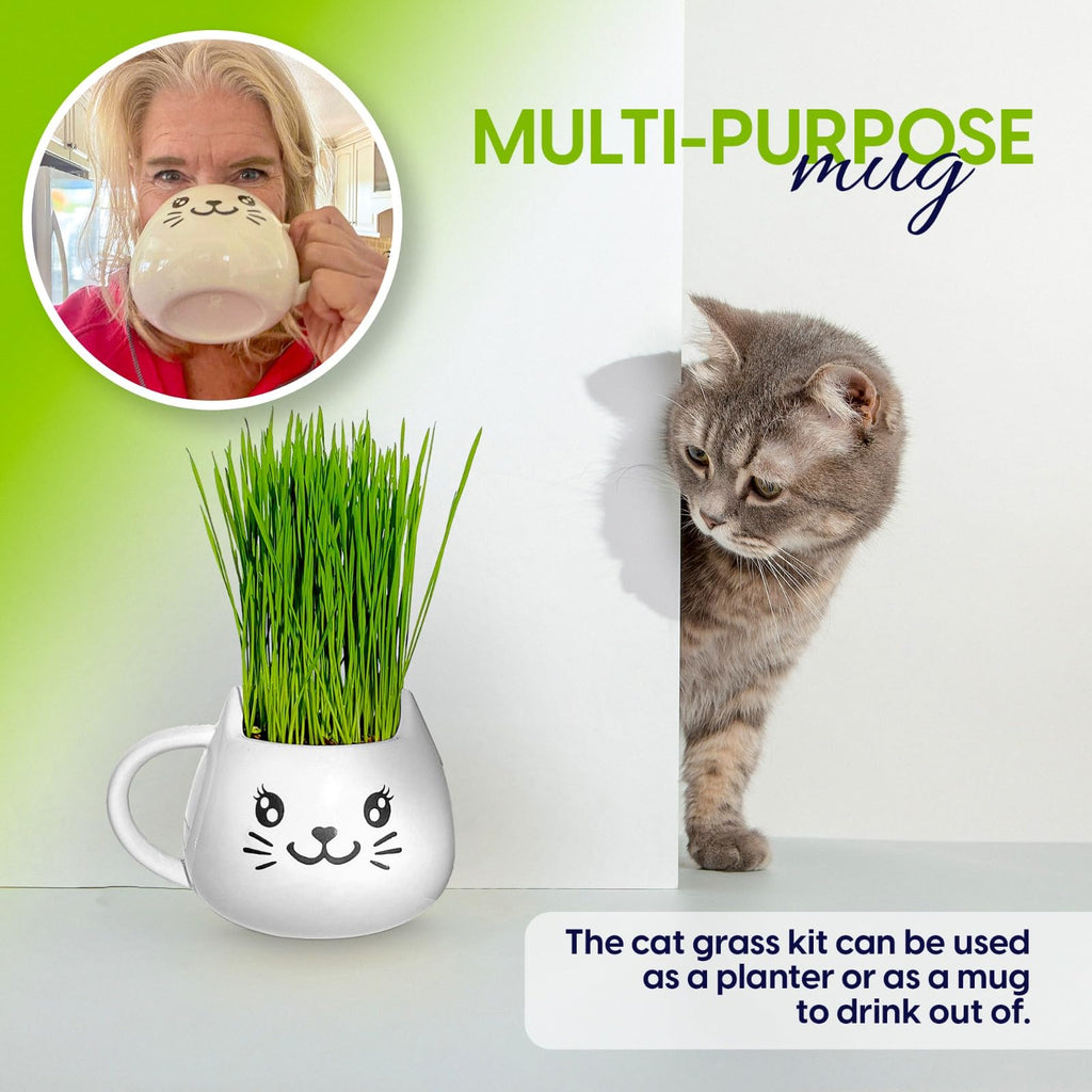 Cat Grass Growing Kit with Seeds, Soil & Ceramic Planter X414