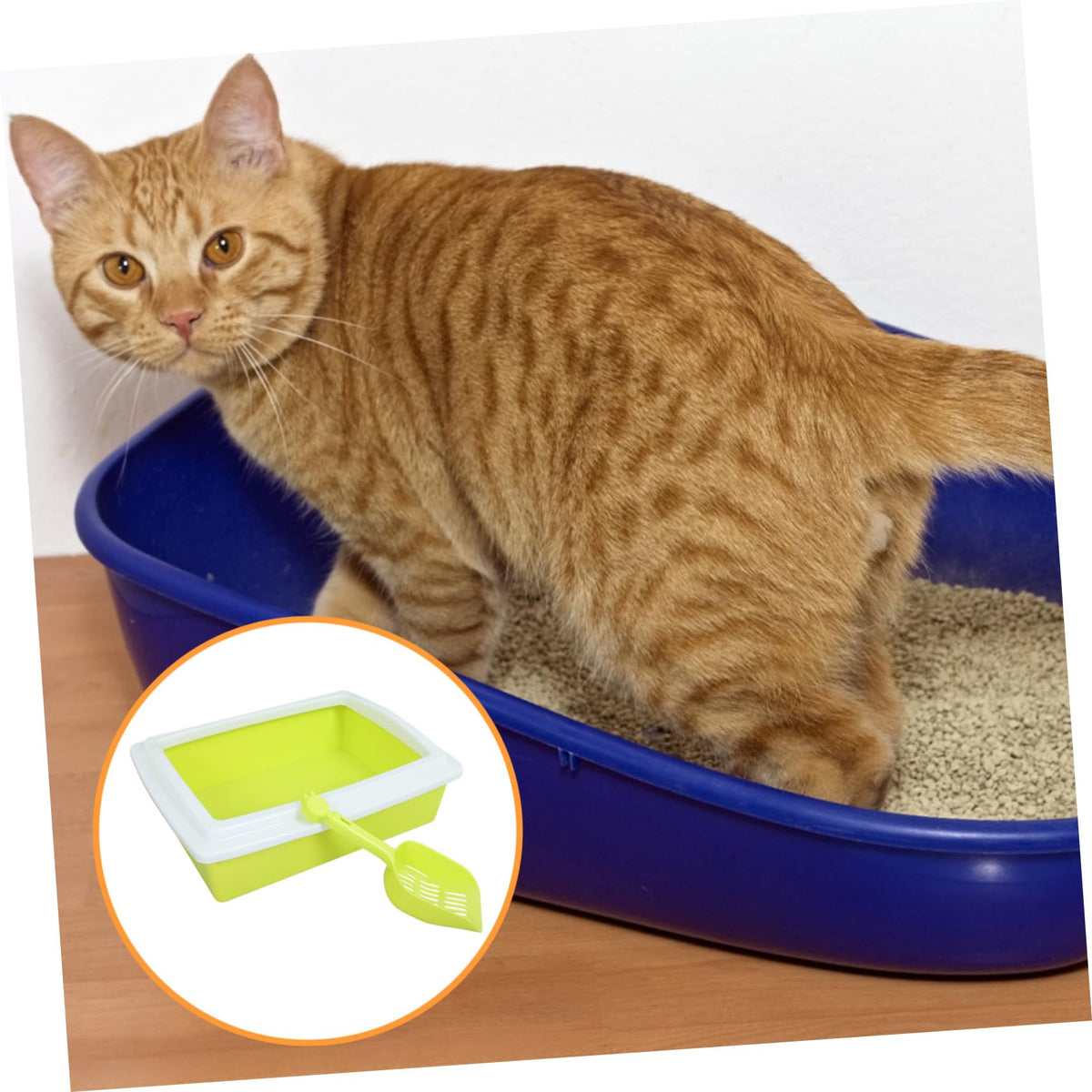 Open Top Cat Litter Box with Frame Semi-Enclosed L600474