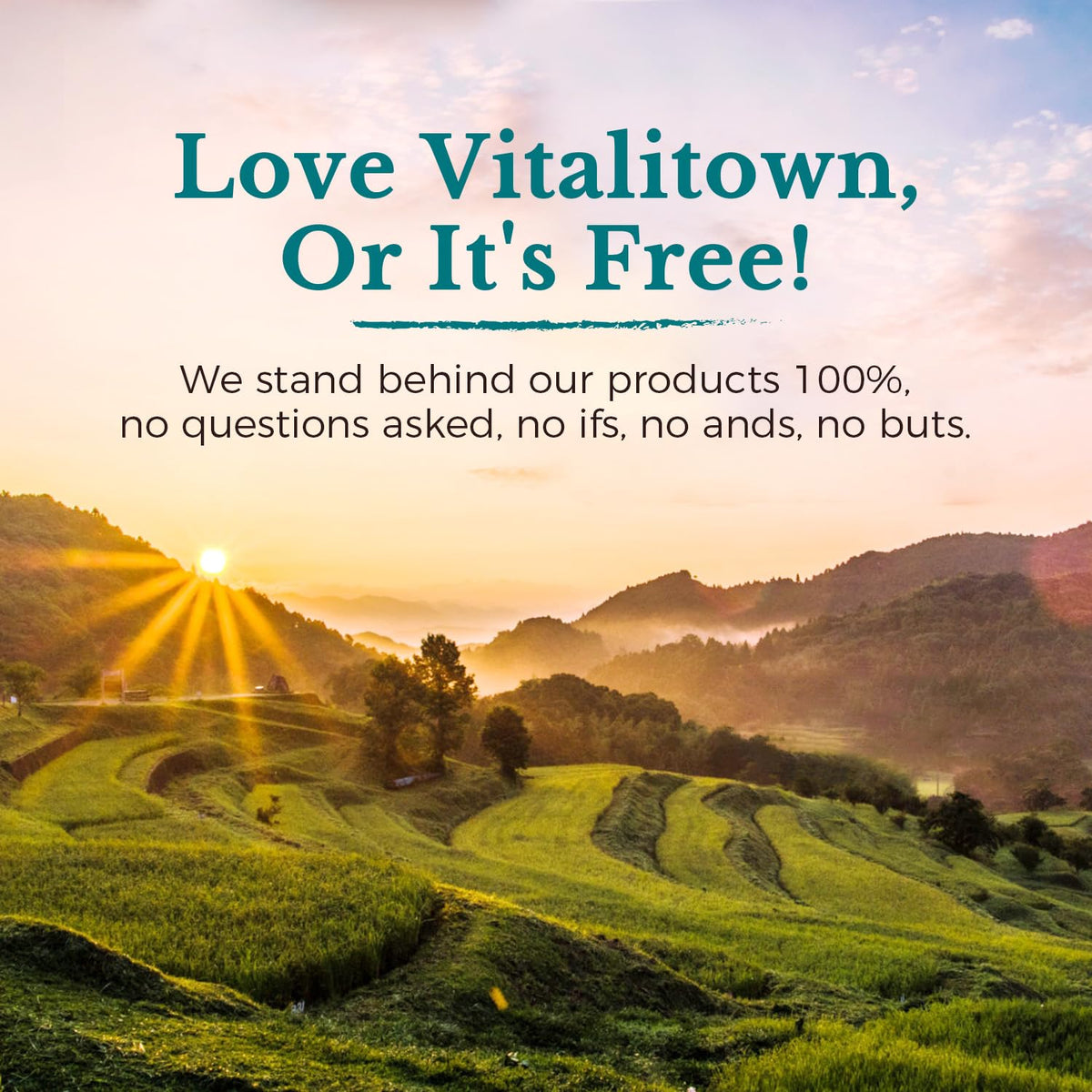 Probiotics 120 Billion CFUs 36 Strains with Prebiotics & Digestive Enzymes 30 Veg Caps T384361