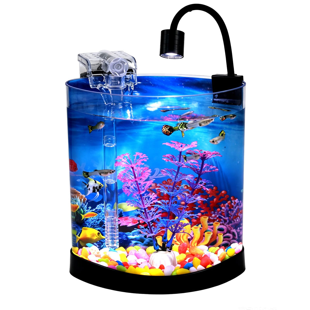 1 Gallon Half Moon Fish Tank R40641