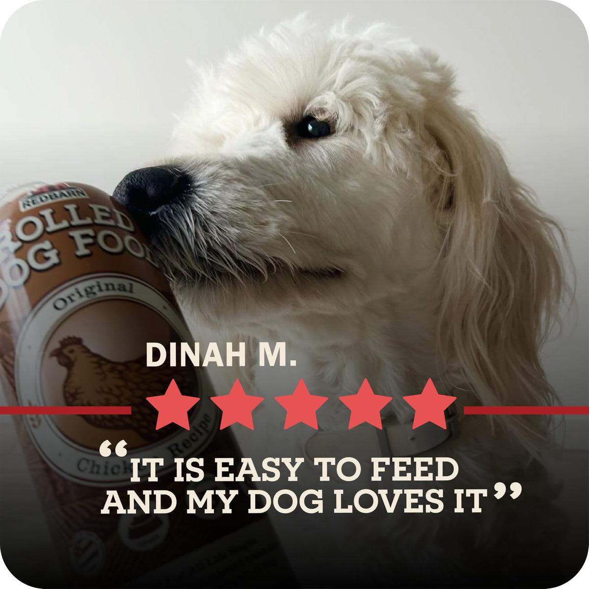 Semi-Moist Rolled Dog Food Beef Recipe 4lb 8 Rolls K948261