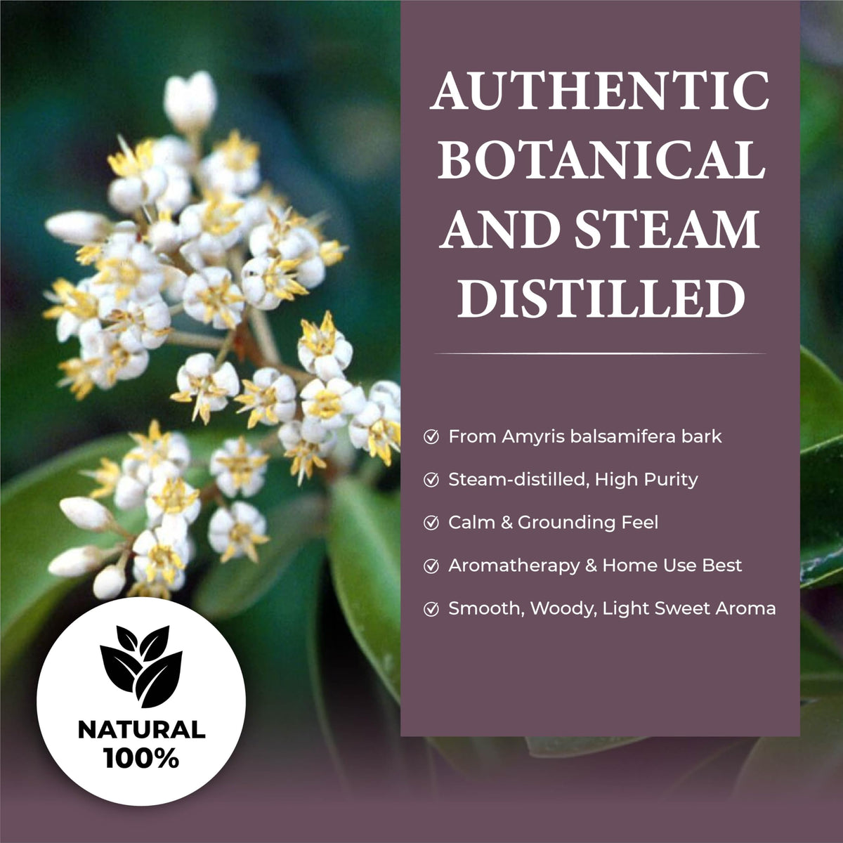 100% Natural Steam-Distilled Amyris Balsamifera Essential Oil 4 fl oz O9546