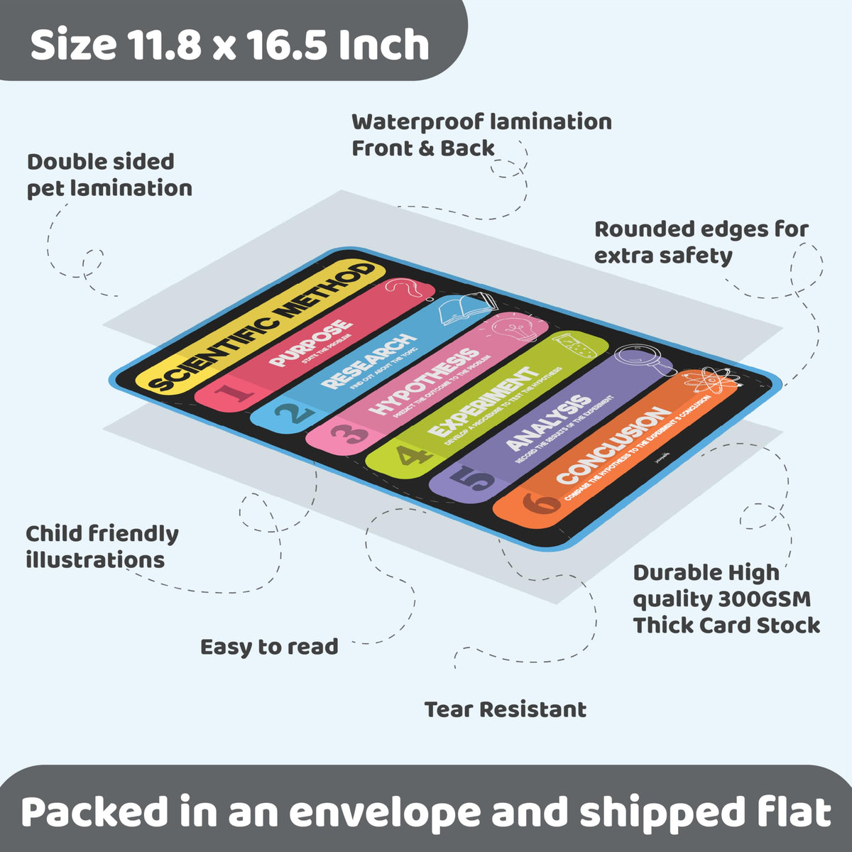 Science Posters for Kids Classroom Decor W3561