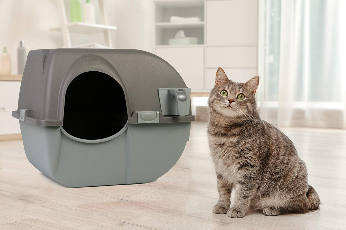 Large Brown Self Cleaning Litter Box S60630