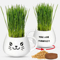 Cat Grass Growing Kit with Seeds, Soil & Ceramic Planter X414