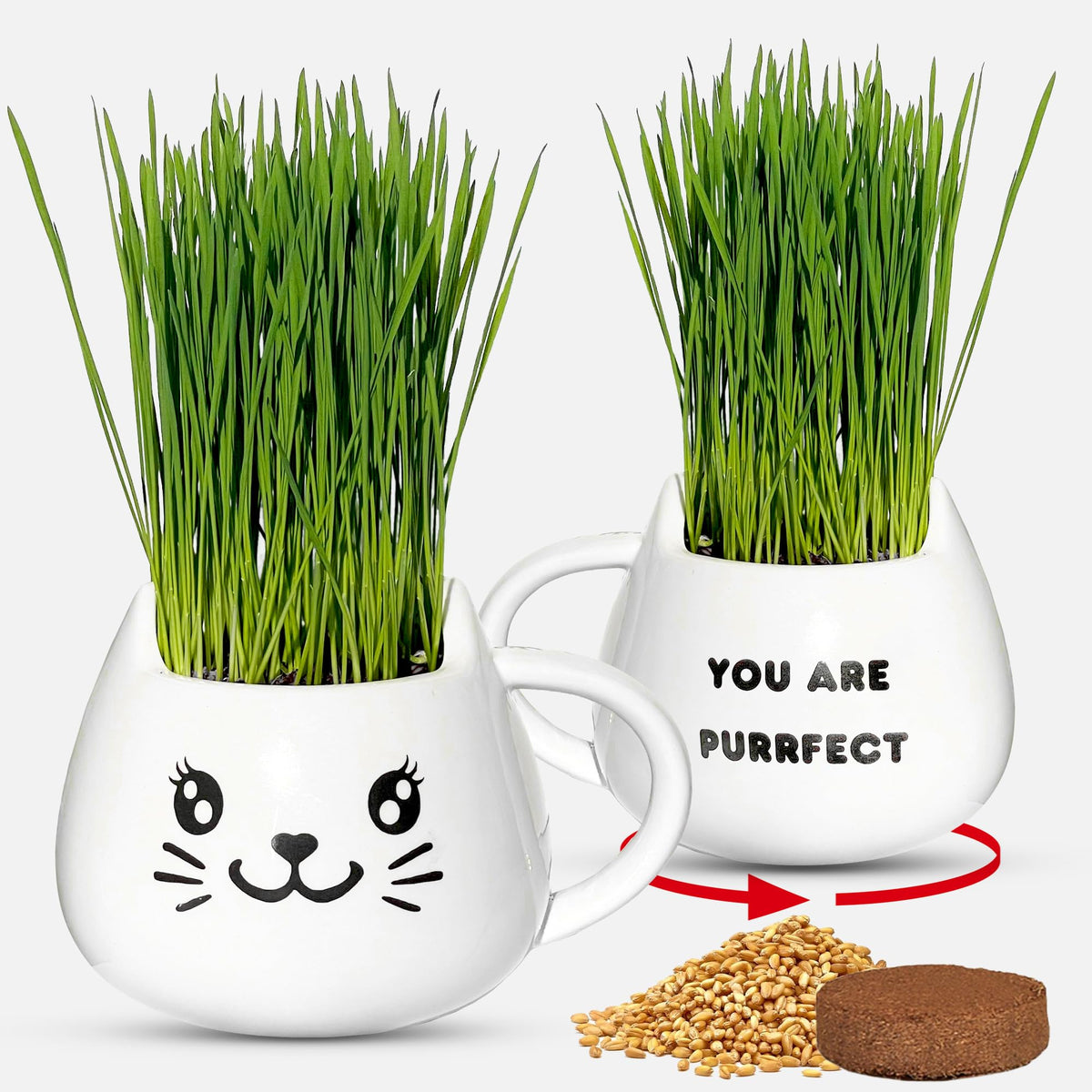 Cat Grass Growing Kit with Seeds, Soil & Ceramic Planter X414