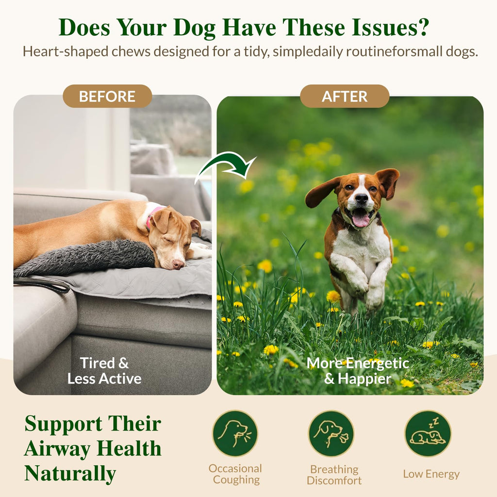 Soft Chews for Dogs V494117
