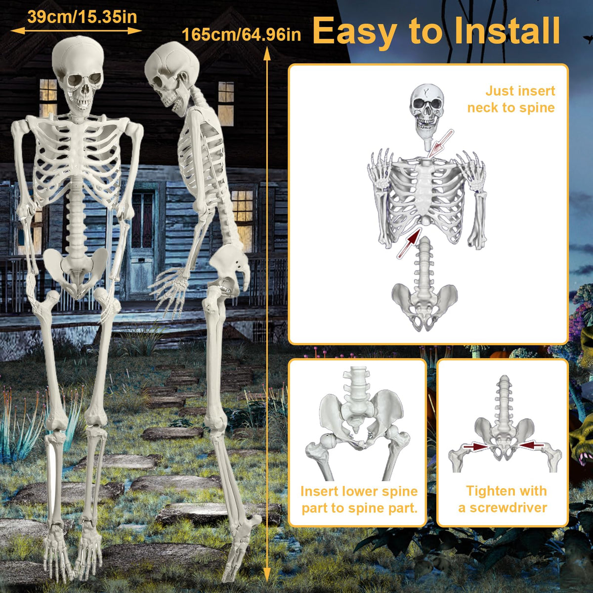 Posable Life Size Skeleton with Movable Joints I3428