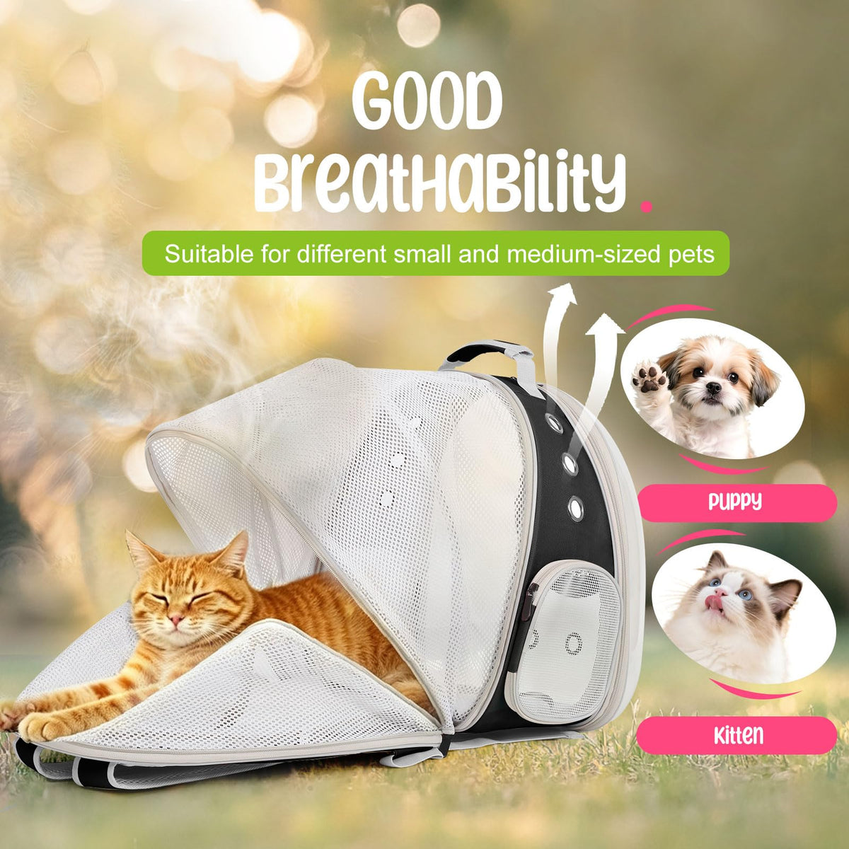 Large Cat Backpack Carrier D28090