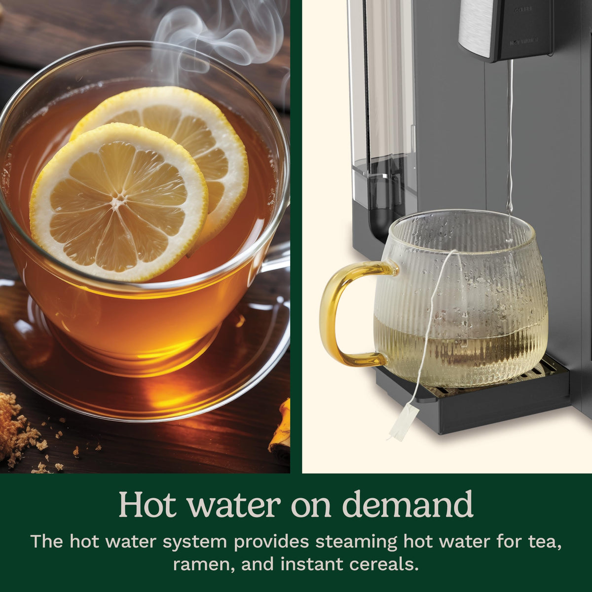 3-in-1 12 Cup Programmable Coffee Maker Z450