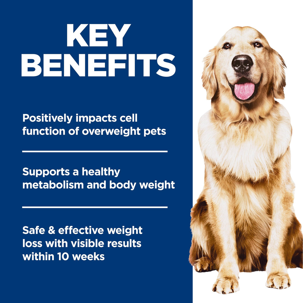 Dry Dog Food S68963