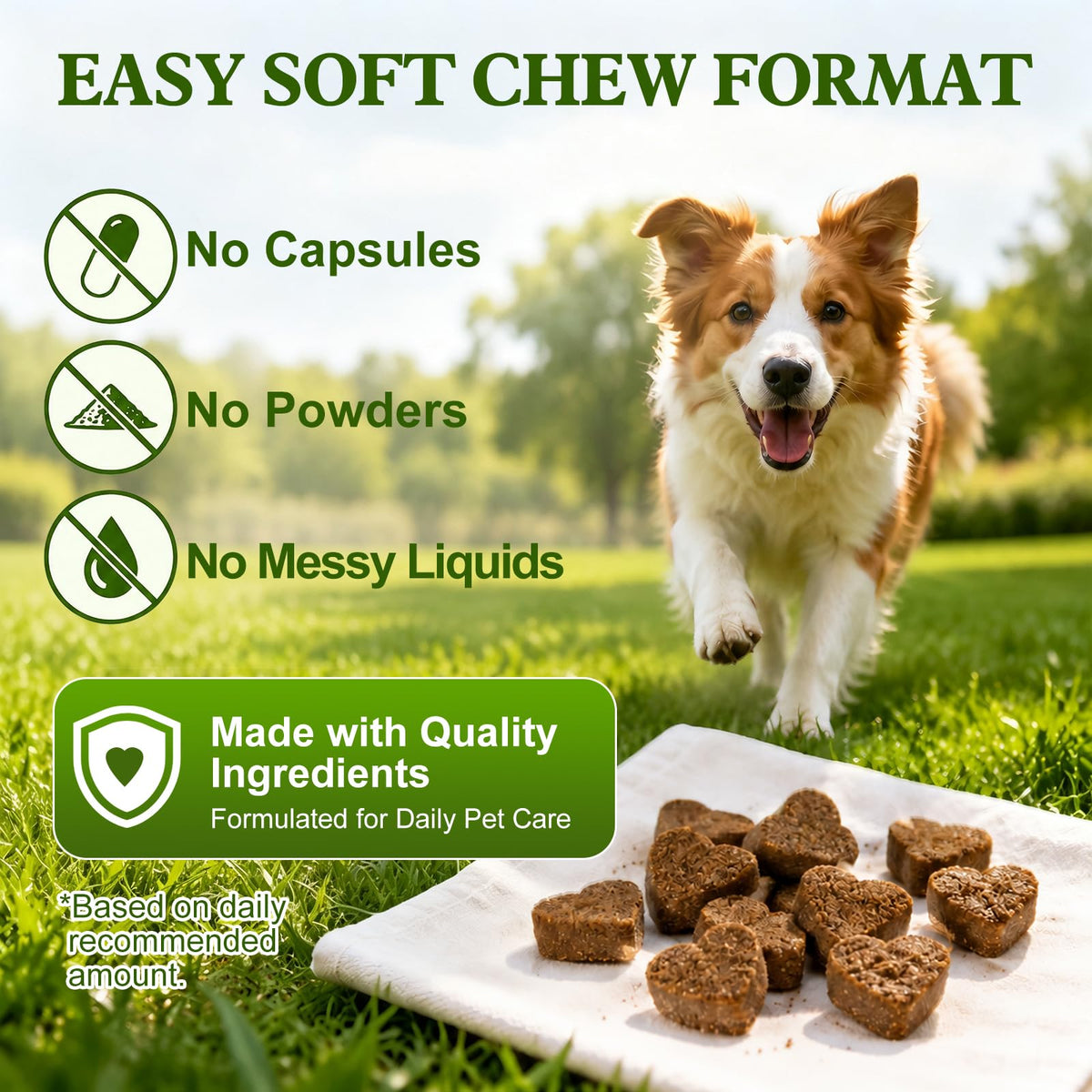 Soft Chews for Dogs V494117