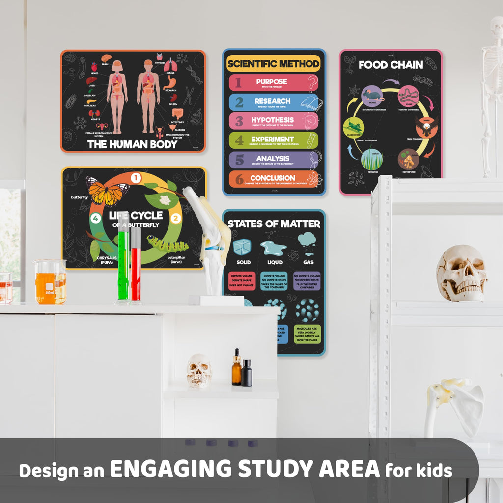 Science Posters for Kids Classroom Decor W3561