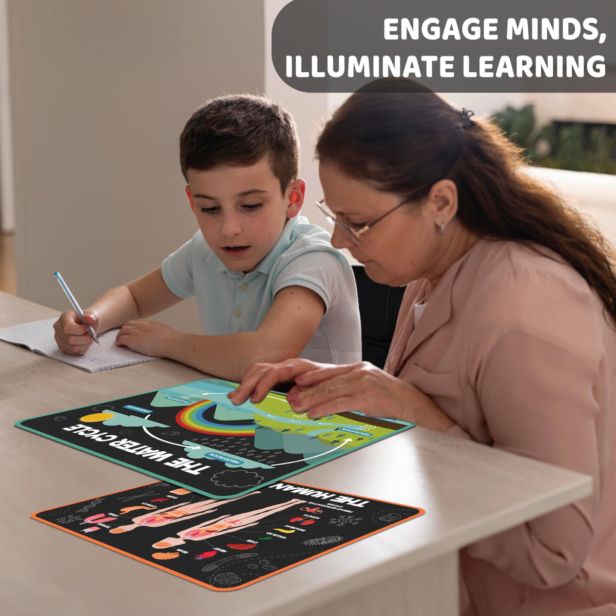 Science Posters for Kids Classroom Decor W3561