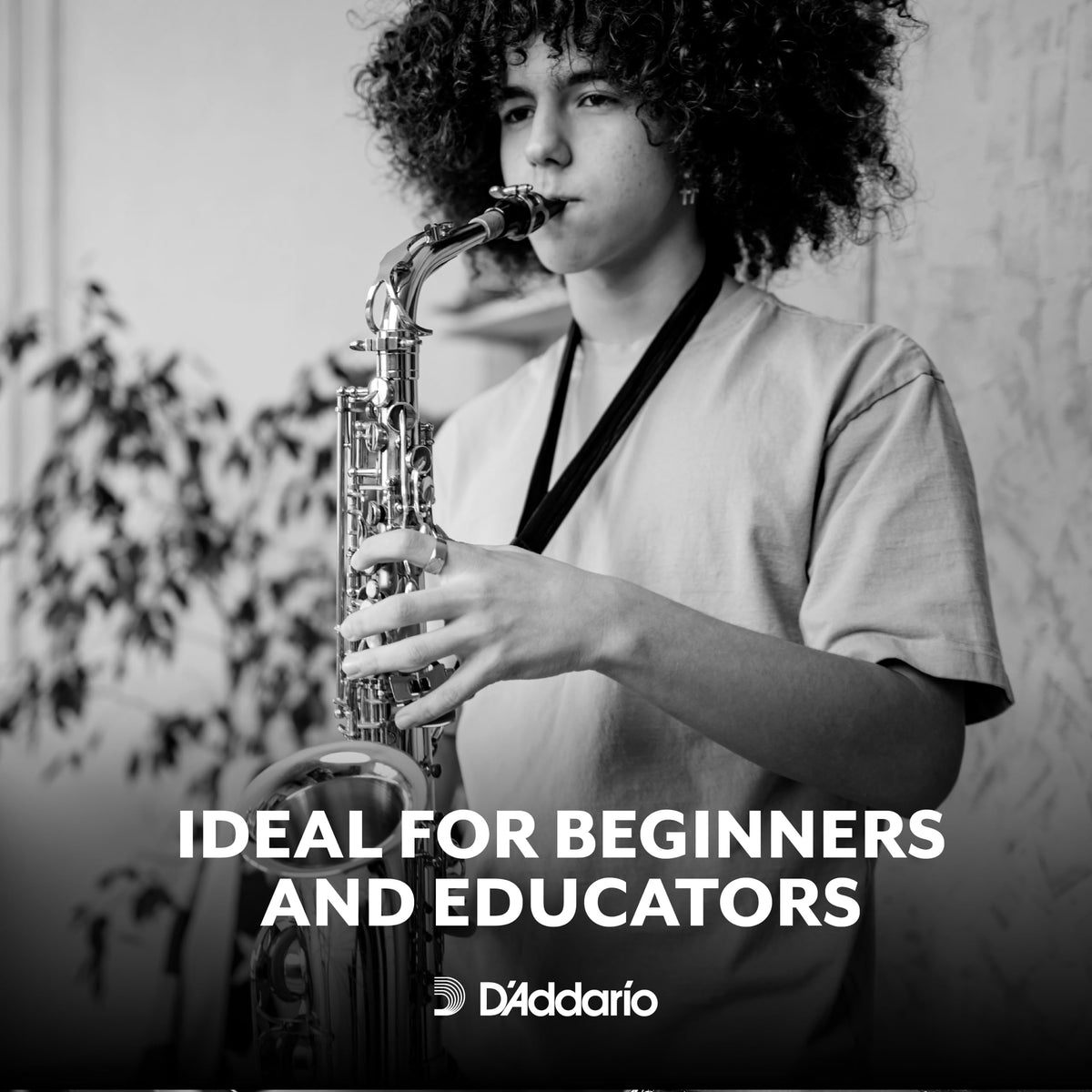 Organic Tenor Saxophone Reeds Strength 2.0 10-Pack U32202
