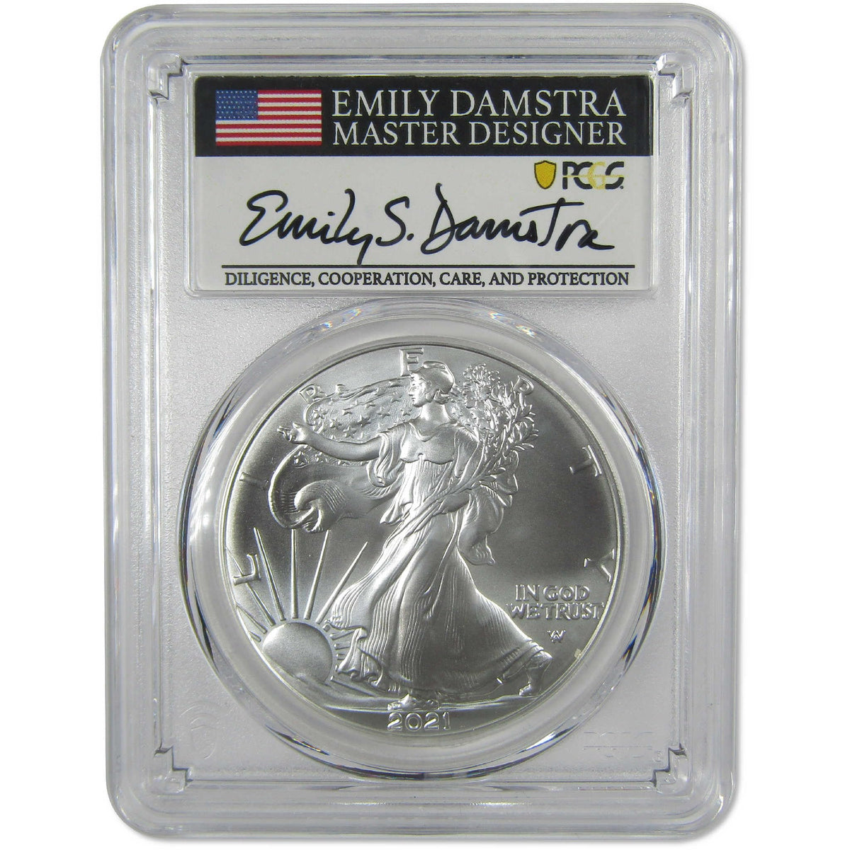 American Silver Eagle Coin Y31231