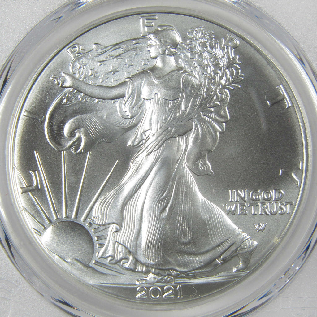 American Silver Eagle Coin Y31231