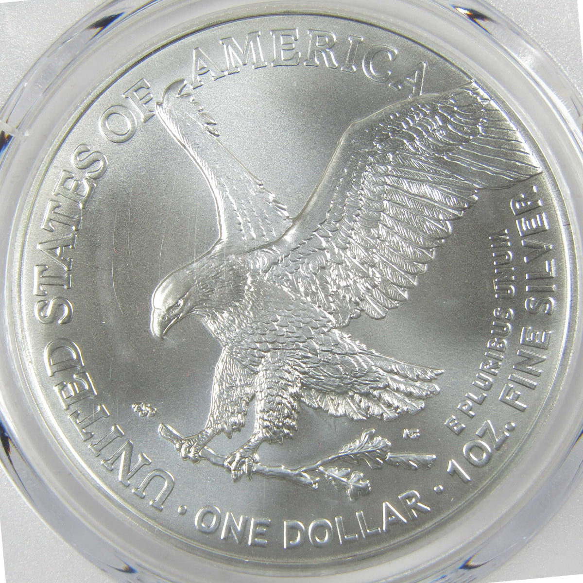American Silver Eagle Coin Y31231